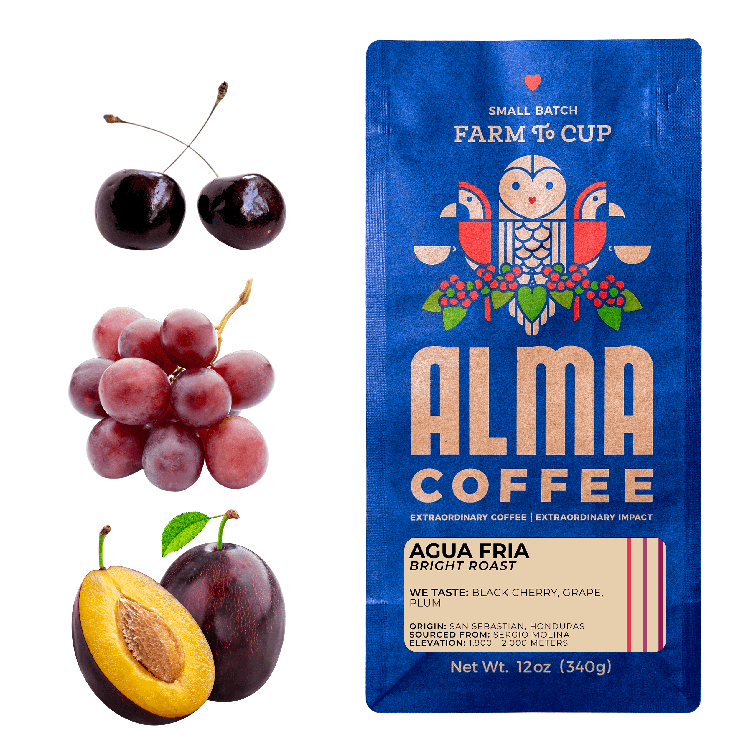 Agua Fria – Alma Coffee
