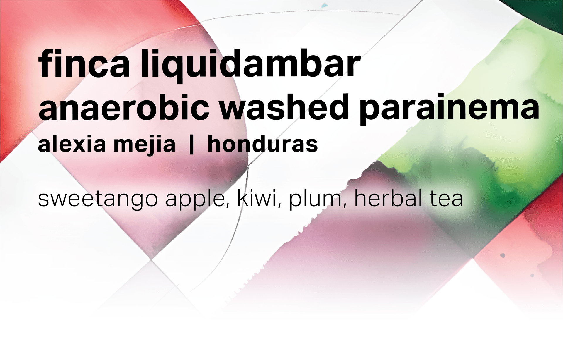 Alexia Mejia Finca Liquidambar - Anaerobic Washed Parainema - Honduras
