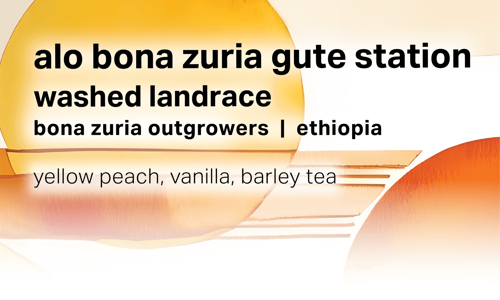 Alo Bona Zuria Gute Station - Washed Landrace - Ethiopia