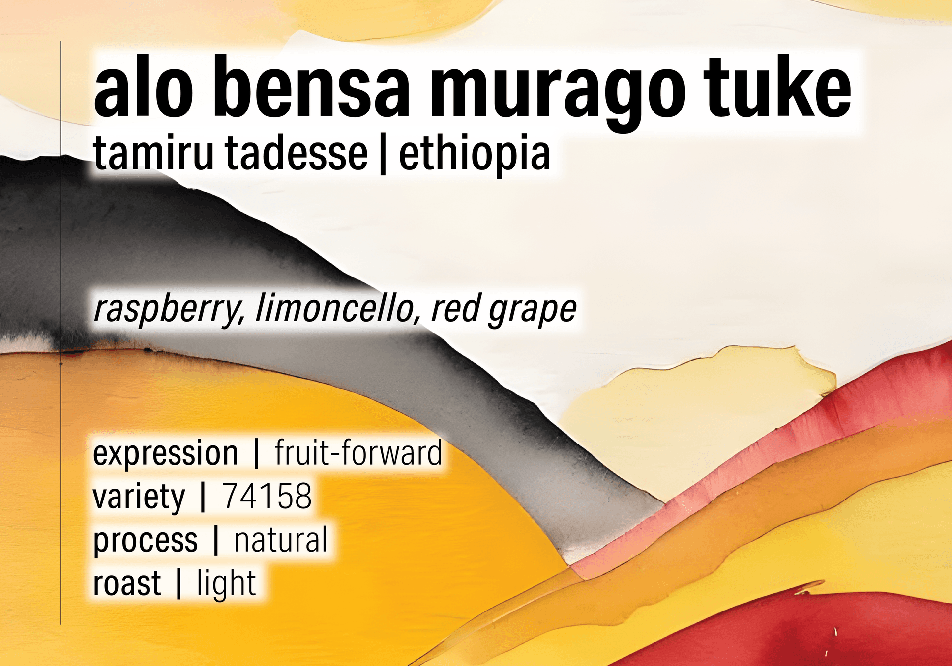 Alo Coffee Bensa Murago Tuke - Natural Landrace - Ethiopia