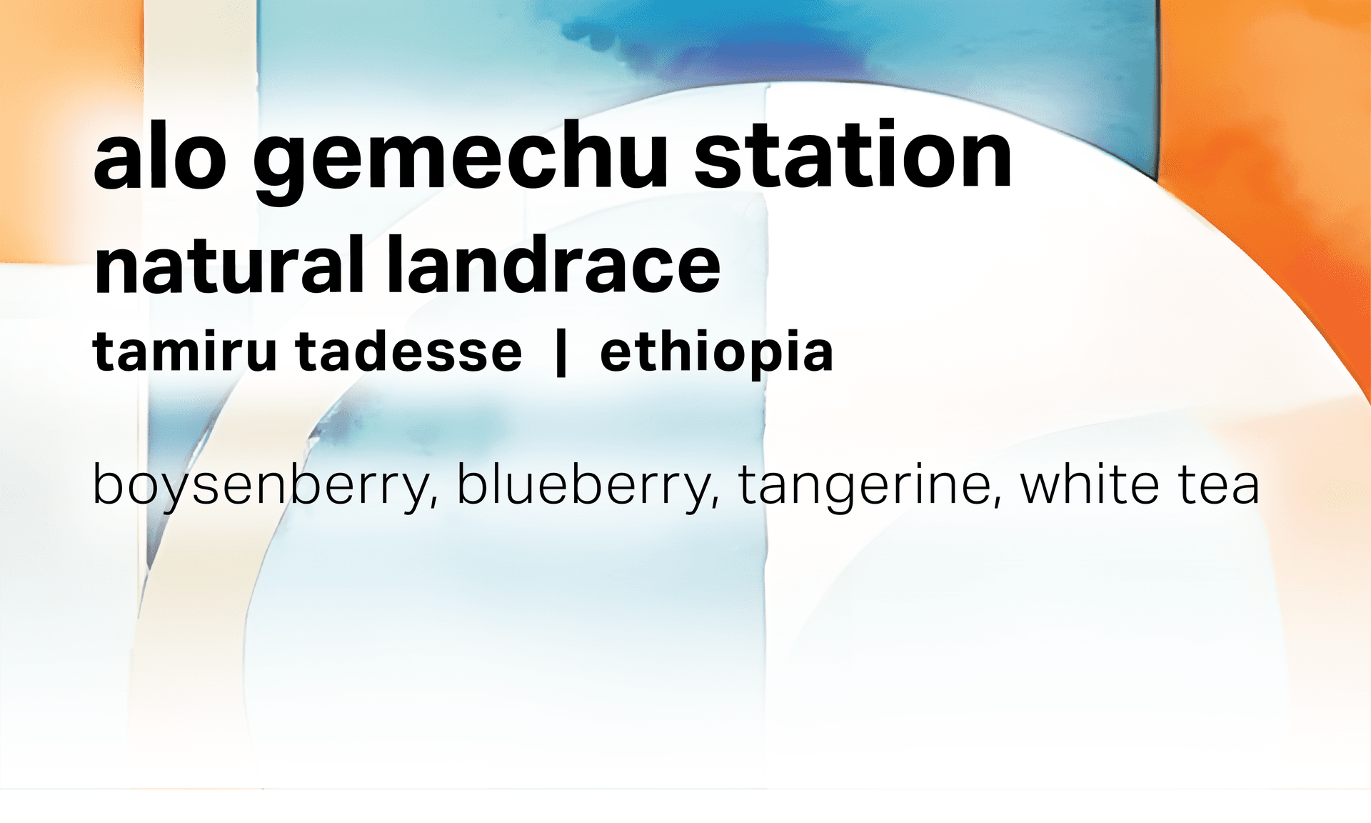 Alo Gemechu Station - Natural Landrace - Ethiopia