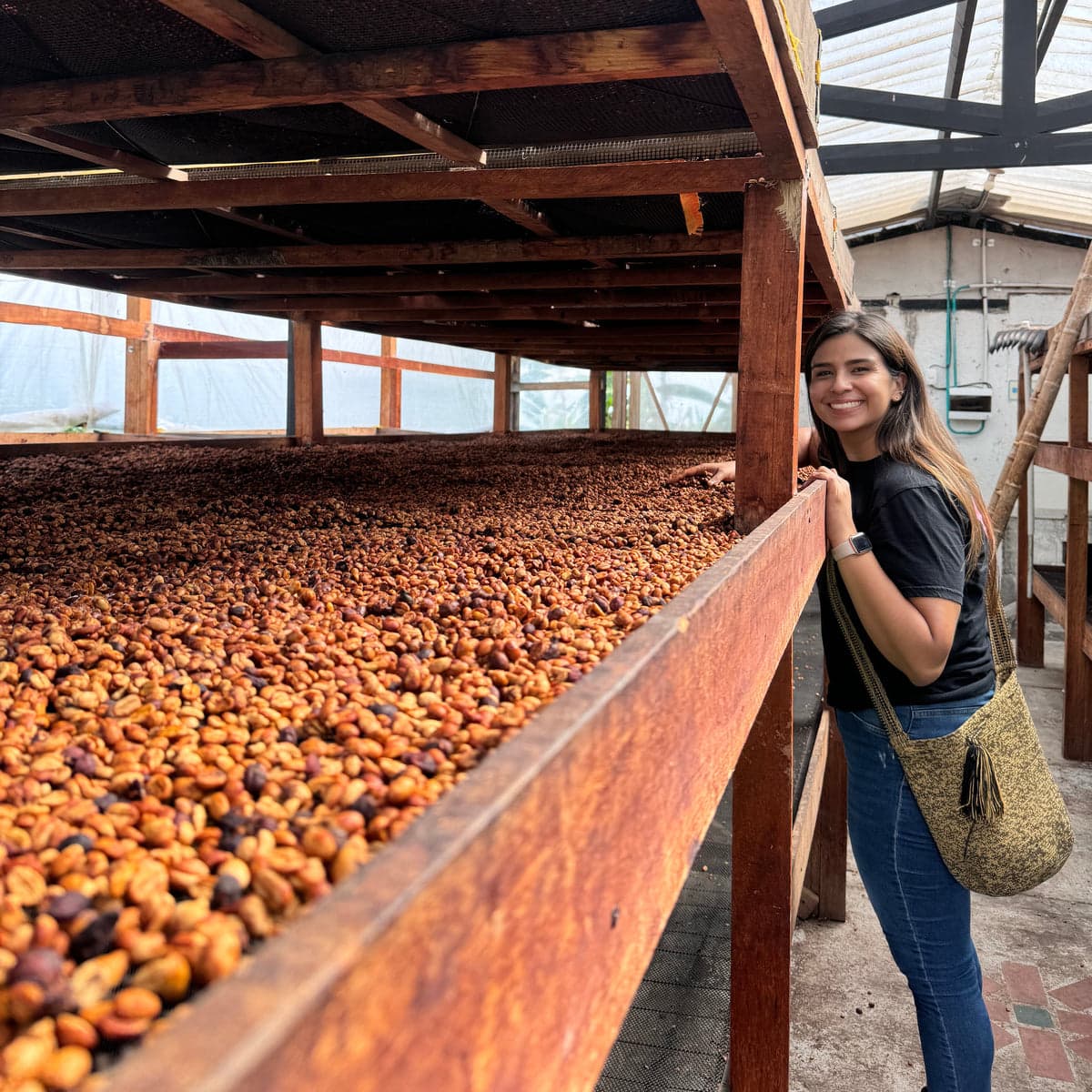 Ana María Donneys, Pink Ranger Honey Pink Bourbon & Caturra - Colombia