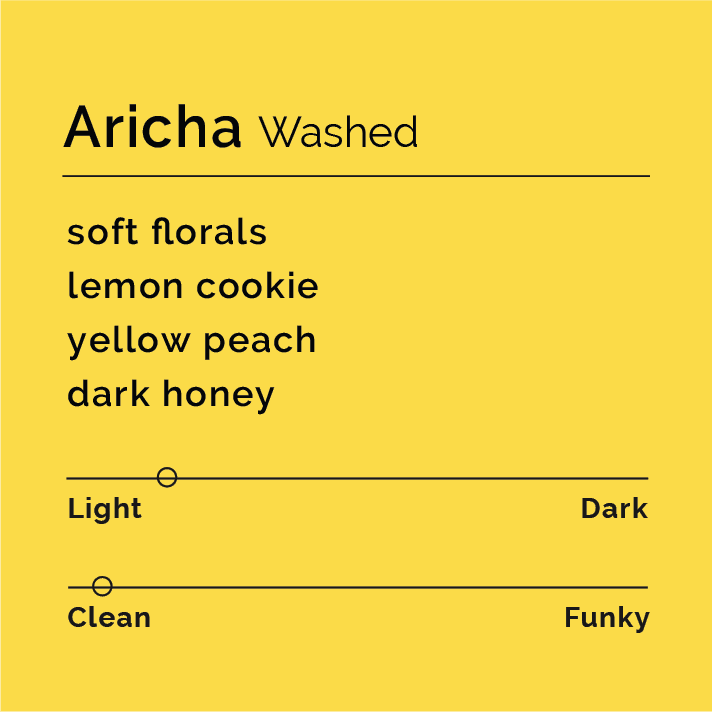 Aricha Washed