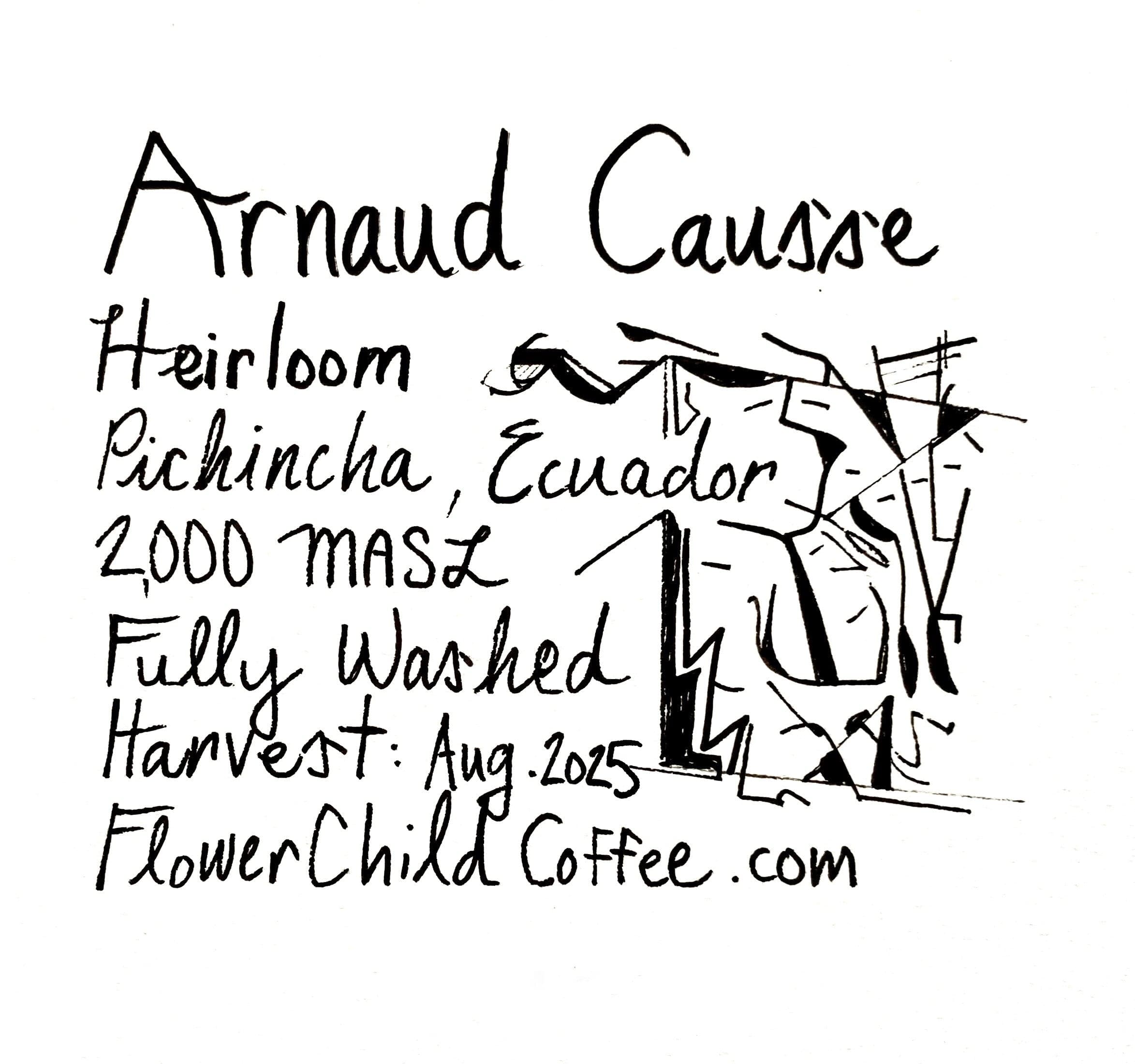 Arnaud Causse Heirloom