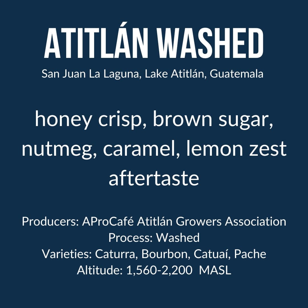 Atitlán - Washed - Guatemala