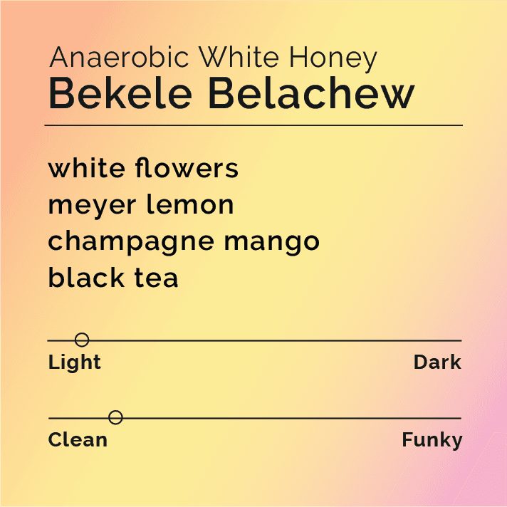 Bekele Belachew Anaerobic White Honey