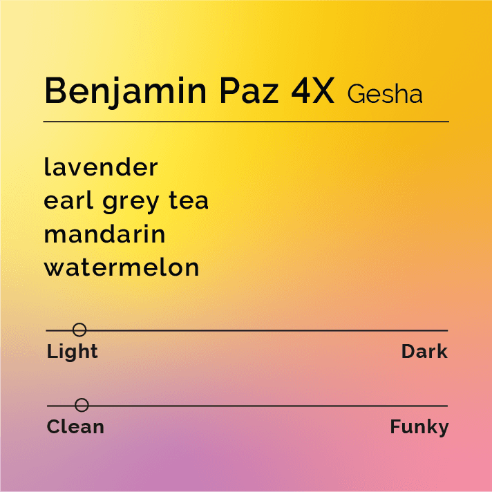 Benjamin Paz 4x Gesha