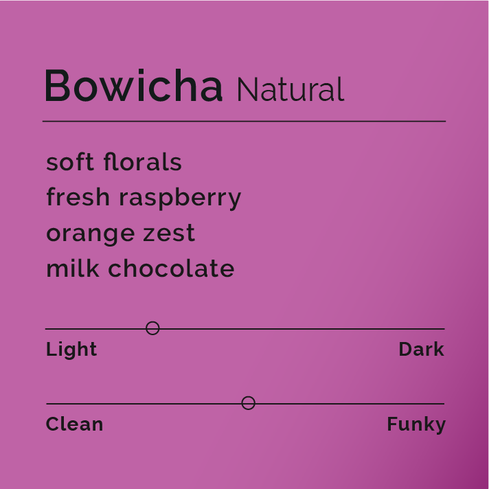 Bowicha Natural