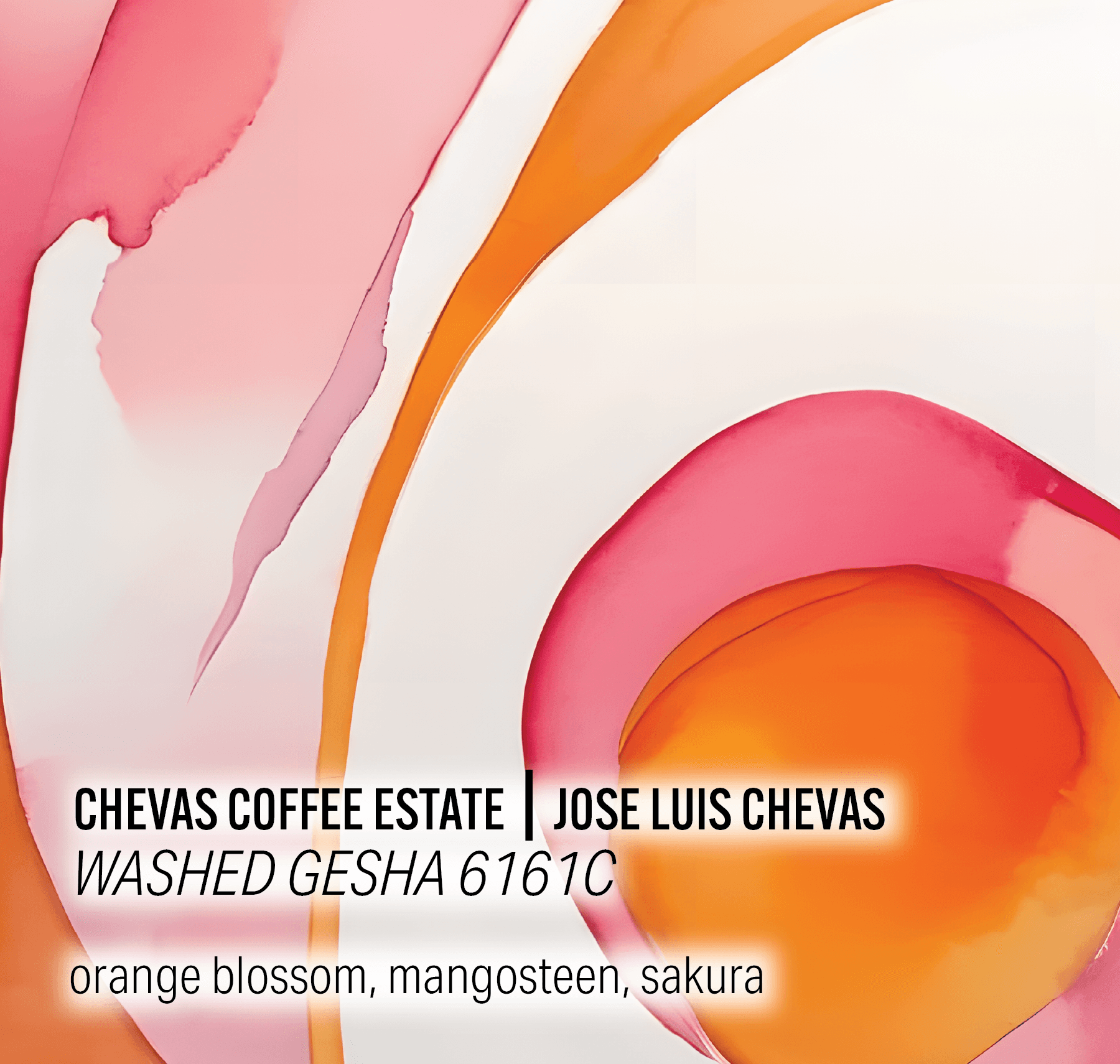 Chevas Coffee Estate - Washed Gesha 6161C - Panama