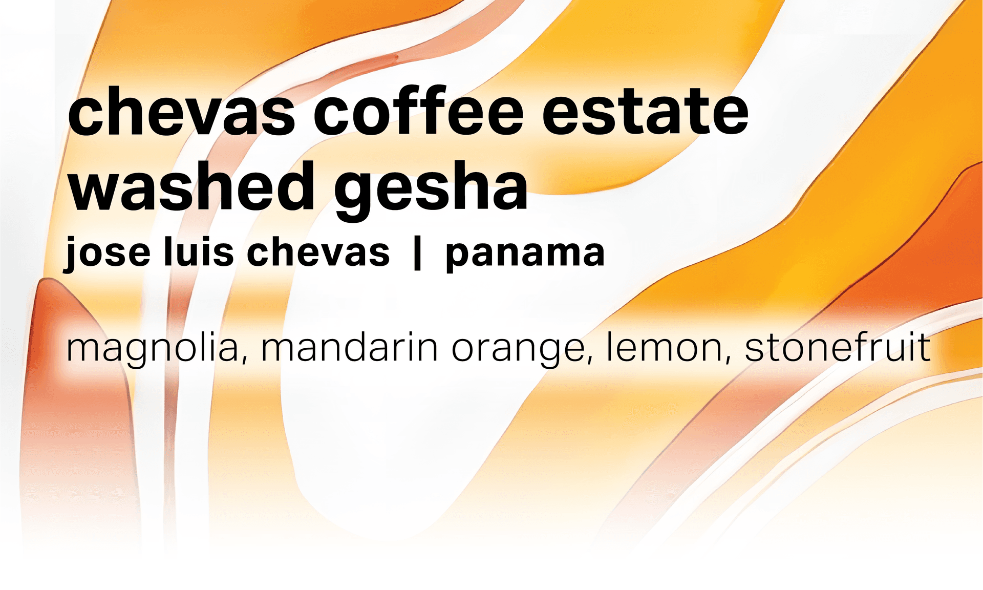 Chevas Coffee Estate Jose Luis Chevas - Washed Gesha - Panama