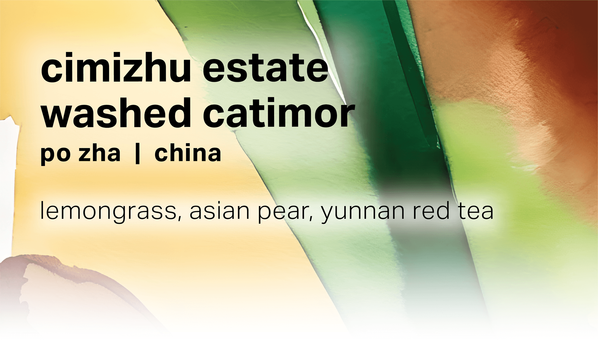 Cimizhu Estate Po Zha - Washed Catimor - China