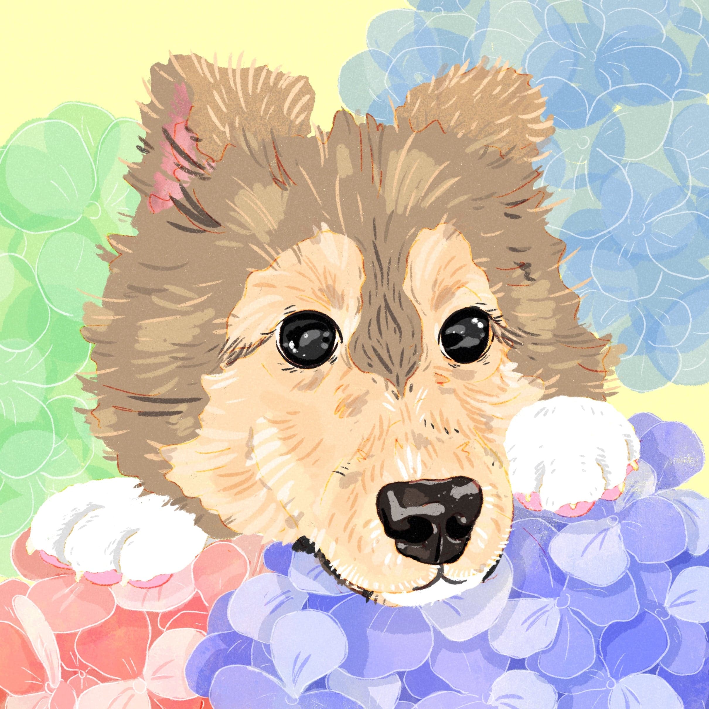 Coffee #3 - Honey Gesha - Nuguo 627NHS (Roasted 11/22/2025)