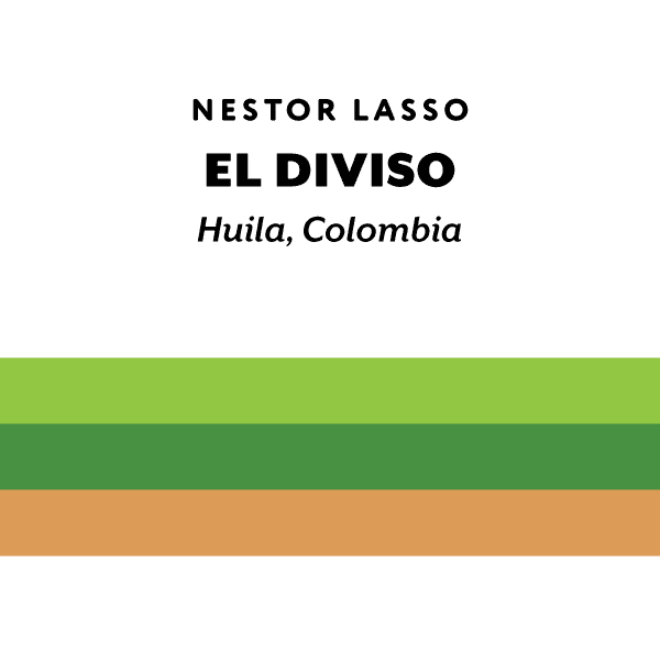 Colombia El Diviso Gesha