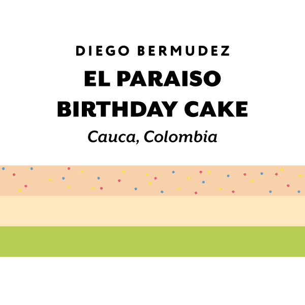Colombia El Paraiso birthday cake