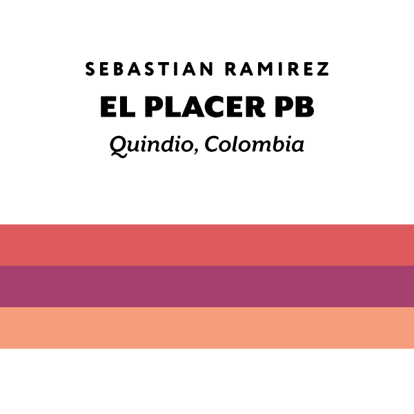 Colombia El Placer Pink Bourbon
