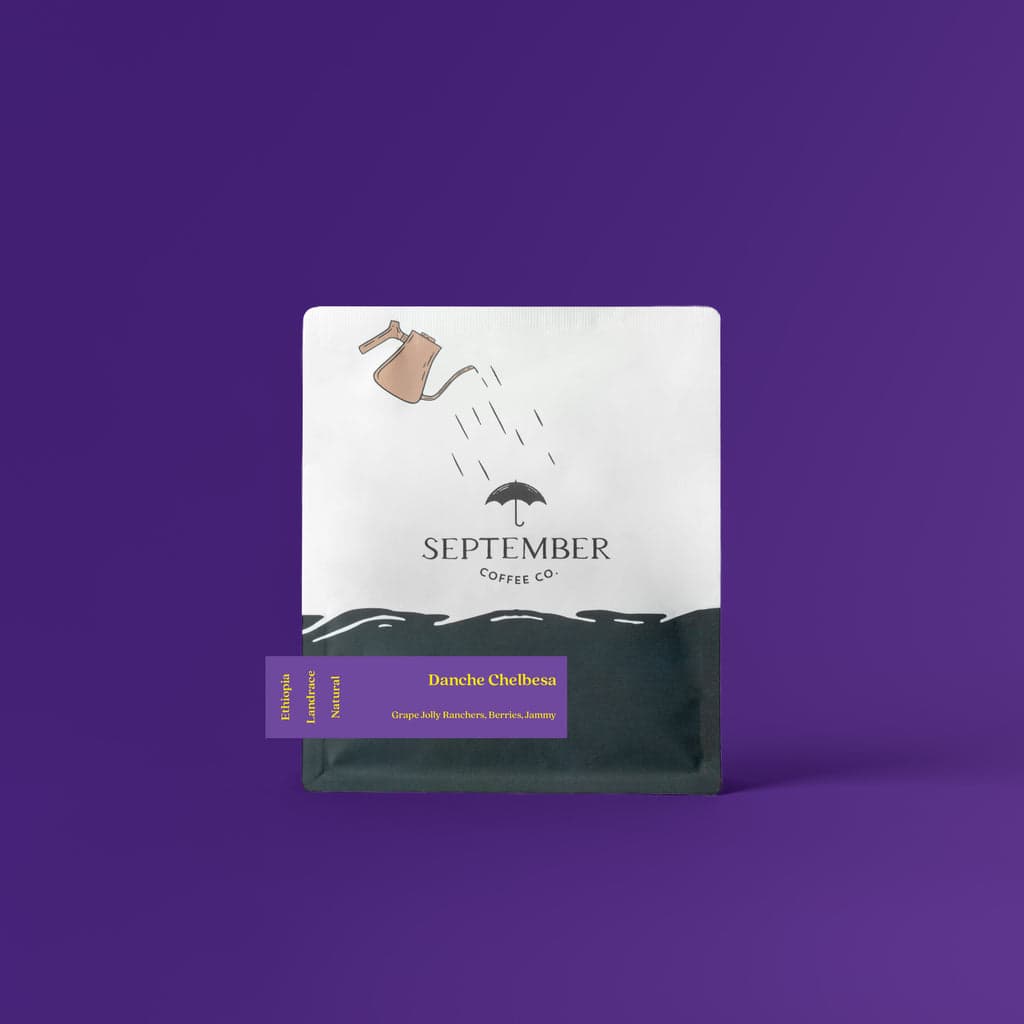 Danche Chelbesa - Ethiopia (Extra-Light)