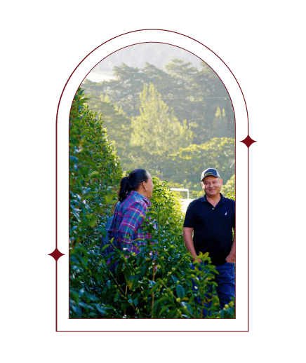 Day 11 | Costa Rica Las Lajas Laurina Black Diamond