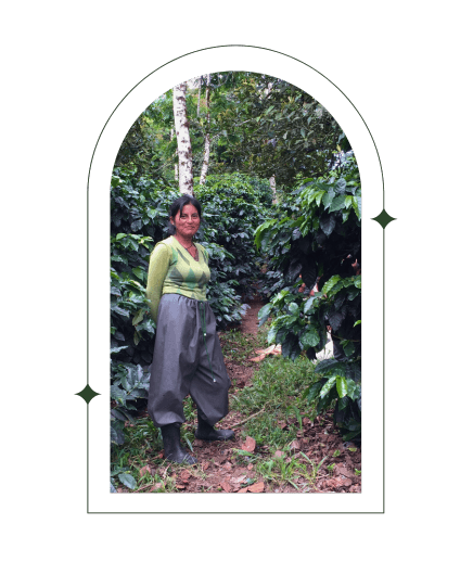 Day 2 | Ecuador Typica Maputo Rancho Tio Emilio Microlot