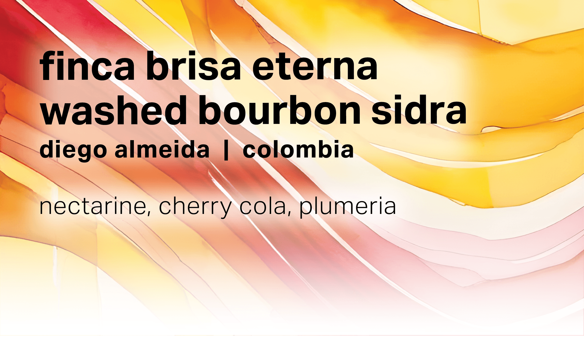 Diego Almeida Finca Brisa Eterna - Washed Bourbon Sidra - Colombia
