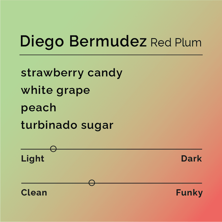 Diego Bermudez Red Plum