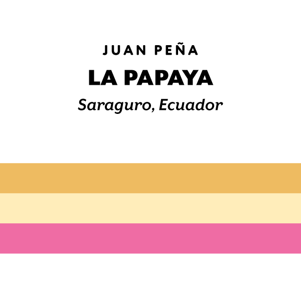 Ecuador La Papaya Typica Mejorado