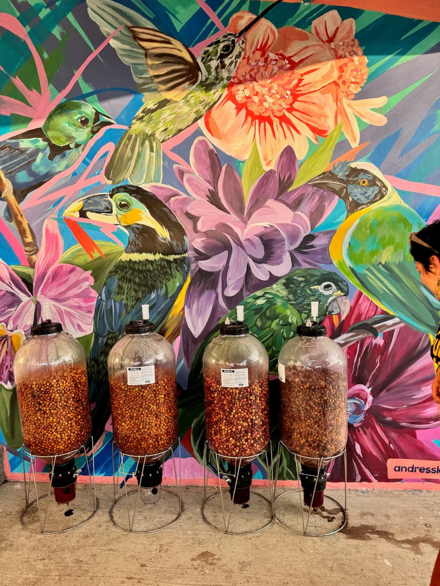 Edwin Enrique Noreña - Smoothie (Co-Ferment with Purple Passion Fruit & Banana) - Colombia