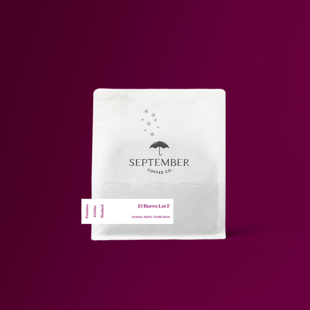El Burro Lot F - Panama Washed Geisha