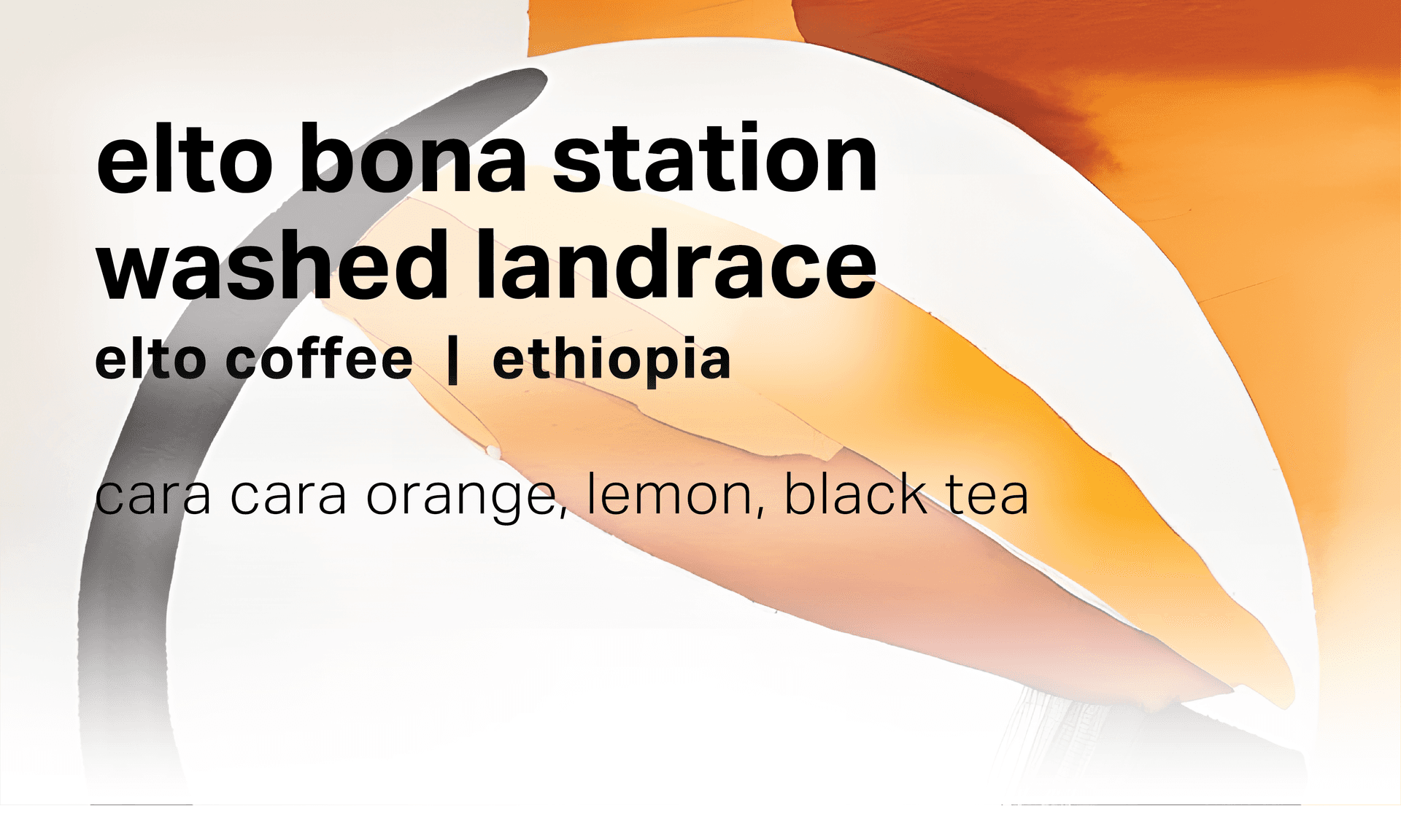 Elto Coffee Bona Station - Washed Landrace - Ethiopia