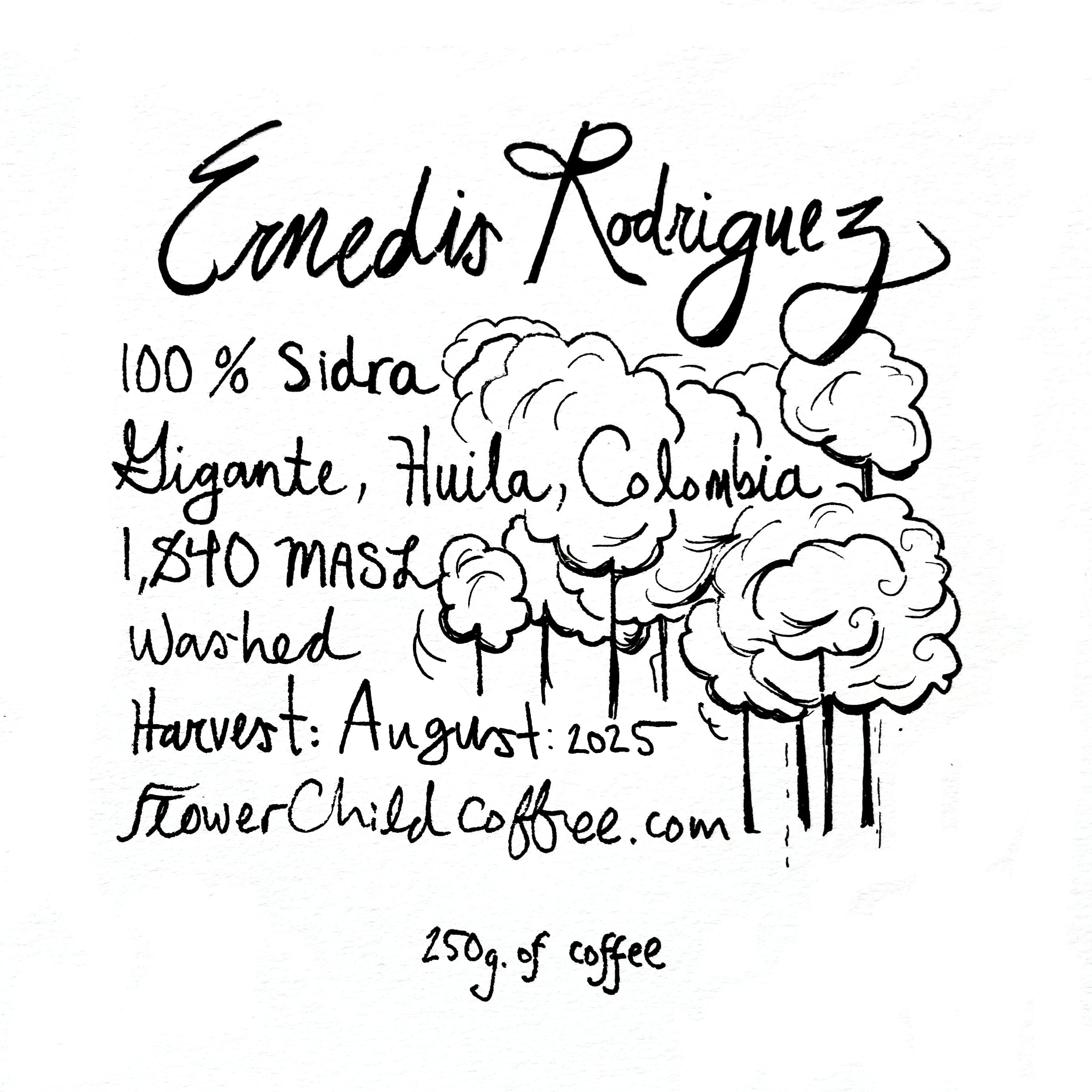 Ernedis Rodriguez - Sidra