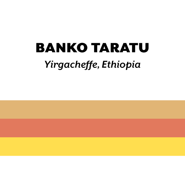 Ethiopia Banko Taratu 2025