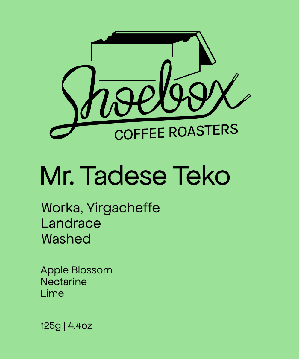 Ethiopia Mr. Tadese Teko Washed