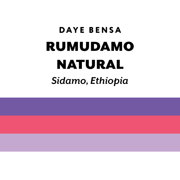 Ethiopia Rumudamo natural