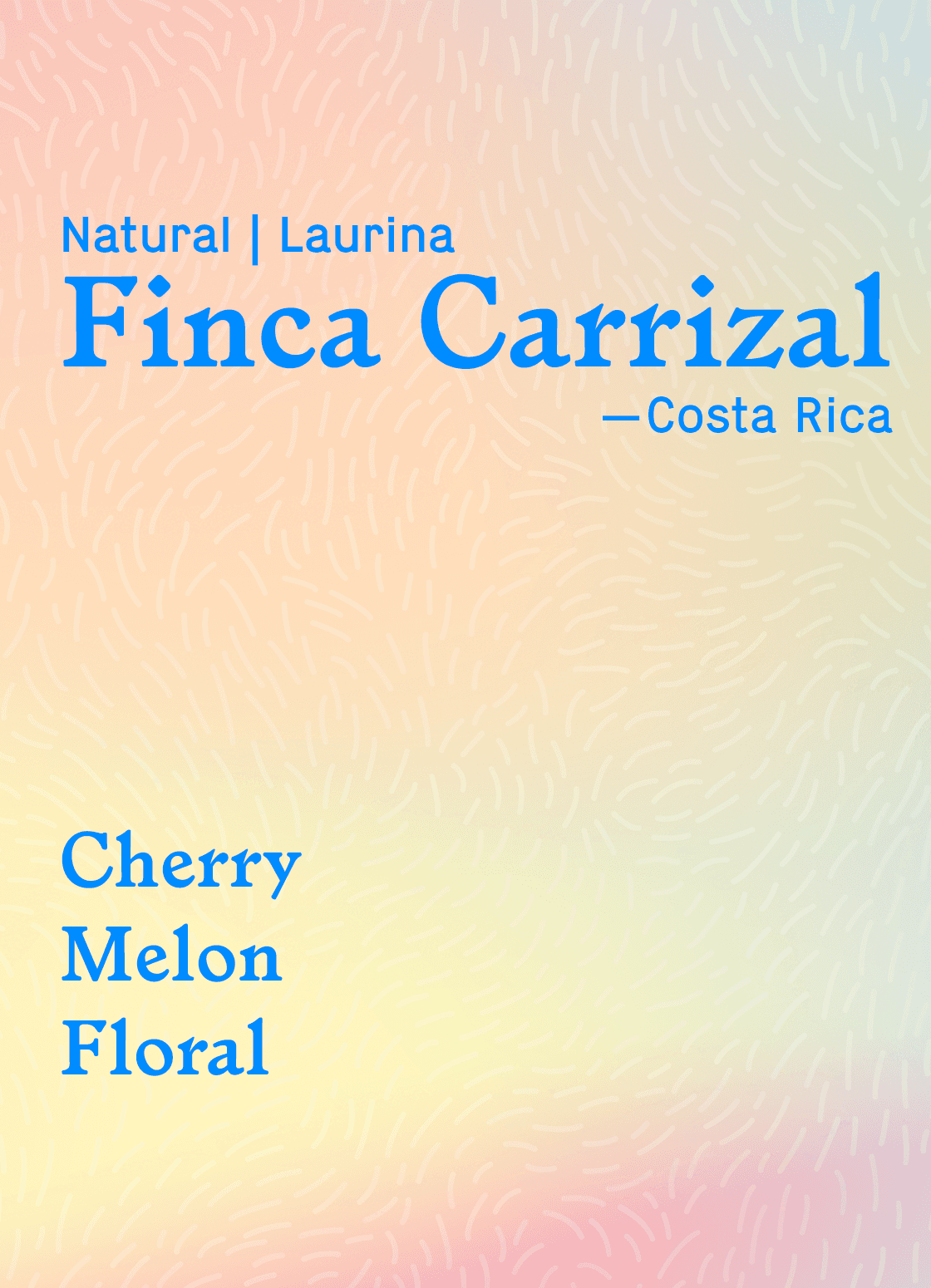 Finca Carrizal