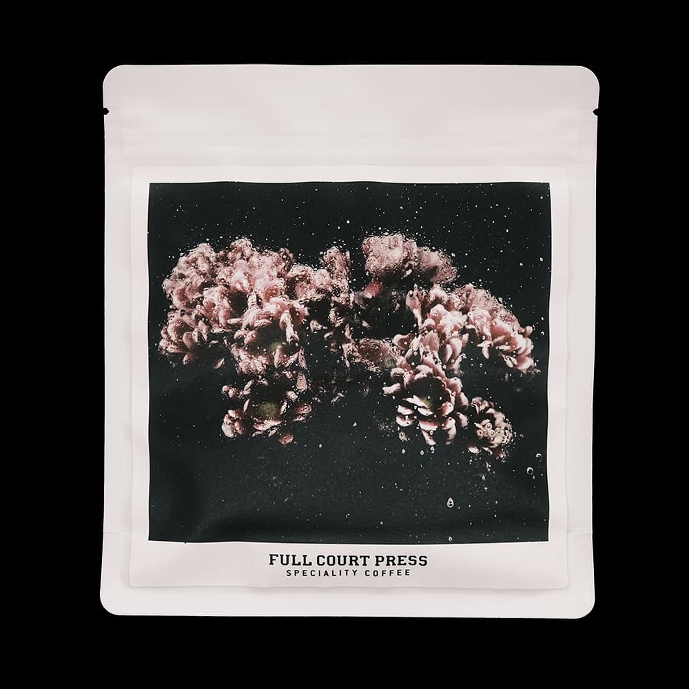 Finca Chelin Gesha Black Honey