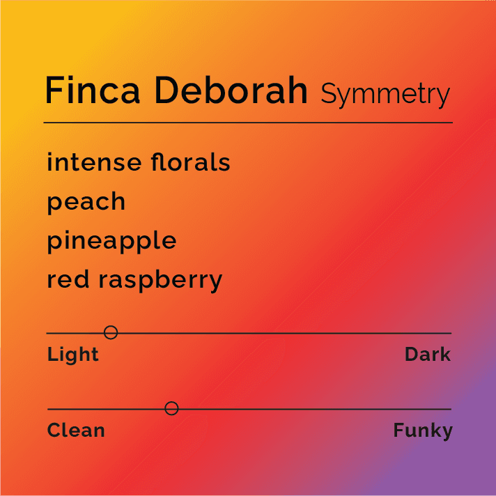 Finca Deborah Symmetry