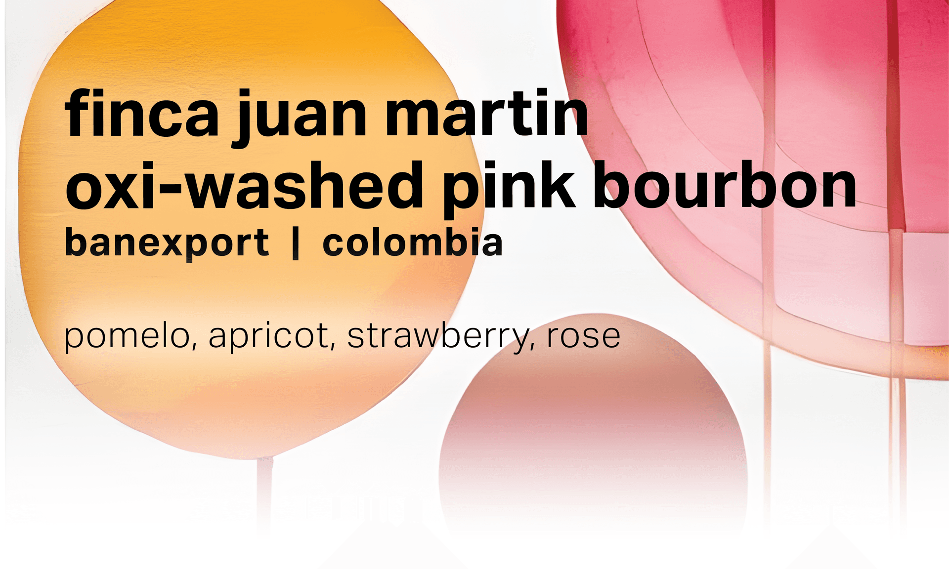 Finca Juan Martin - Oxidation Washed Pink Bourbon - Colombia