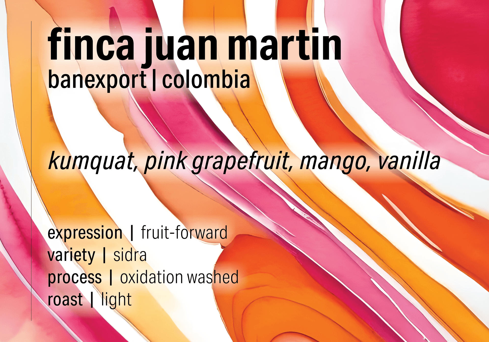 Finca Juan Martin - Oxidation Washed Sidra - Colombia
