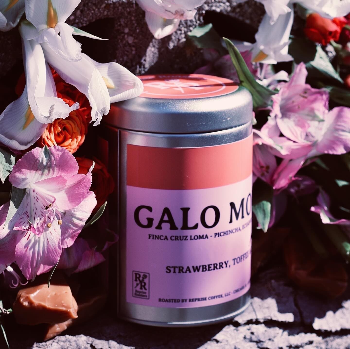 Galo Morales Gesha Washed