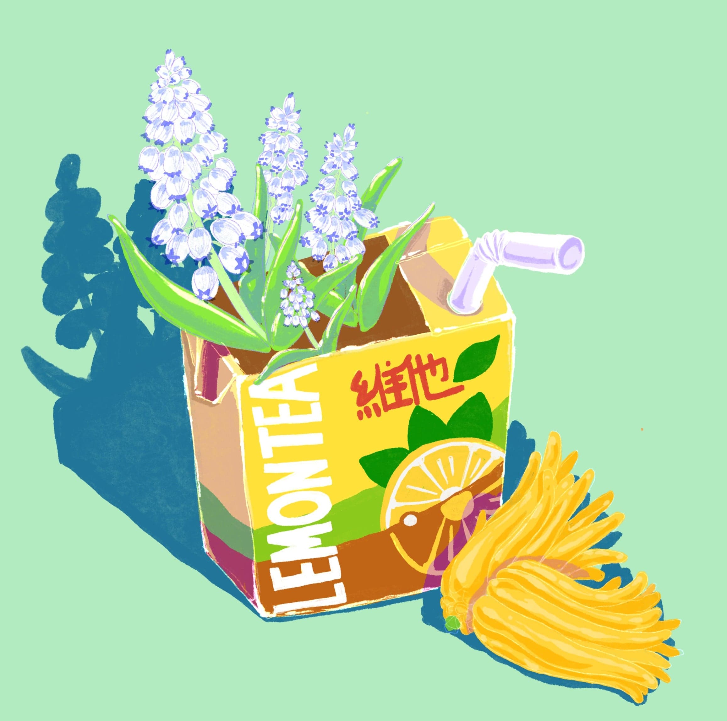 Gesha - Lot 1002 Washed - Janson