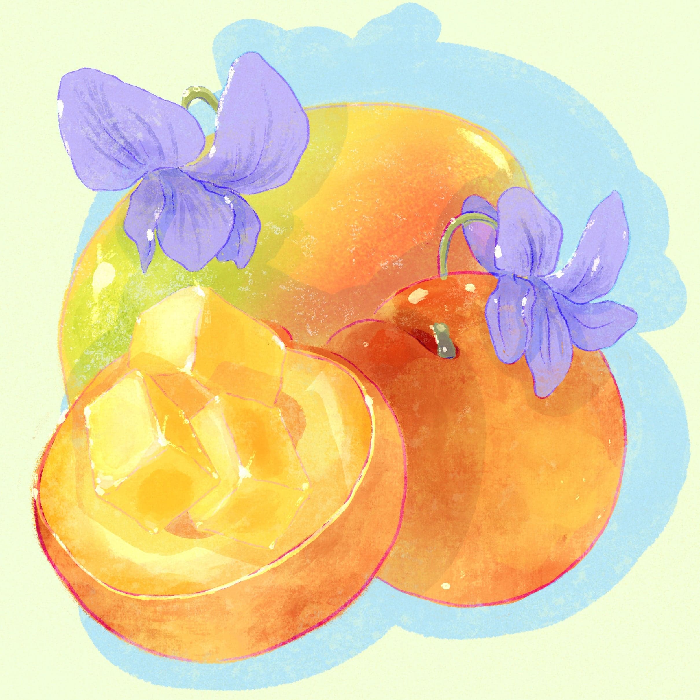 Gesha - Natural - Finca Mi Finquita, Los Pozos Arriba