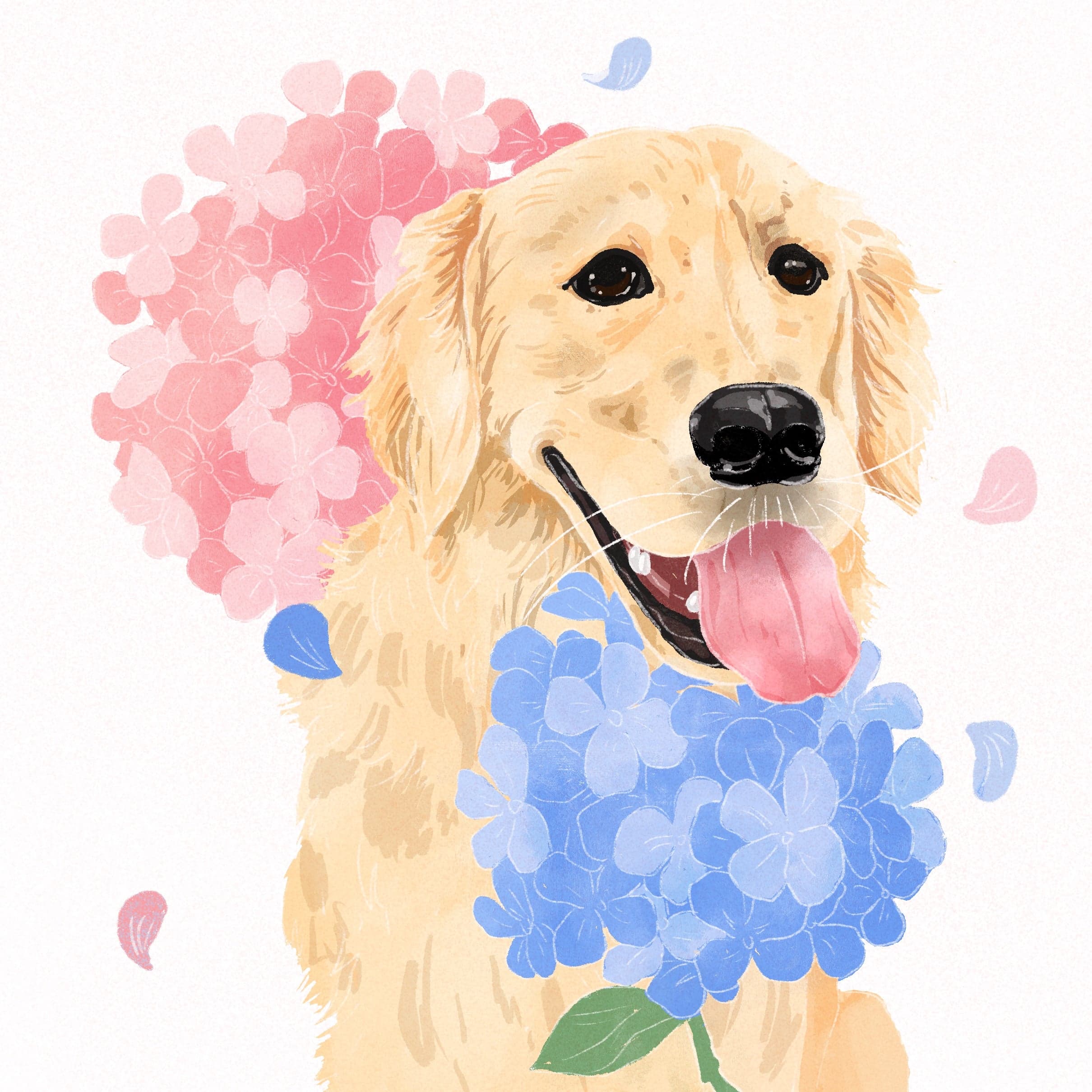 Gesha - Natural 893 NNF - Finca Nuguo