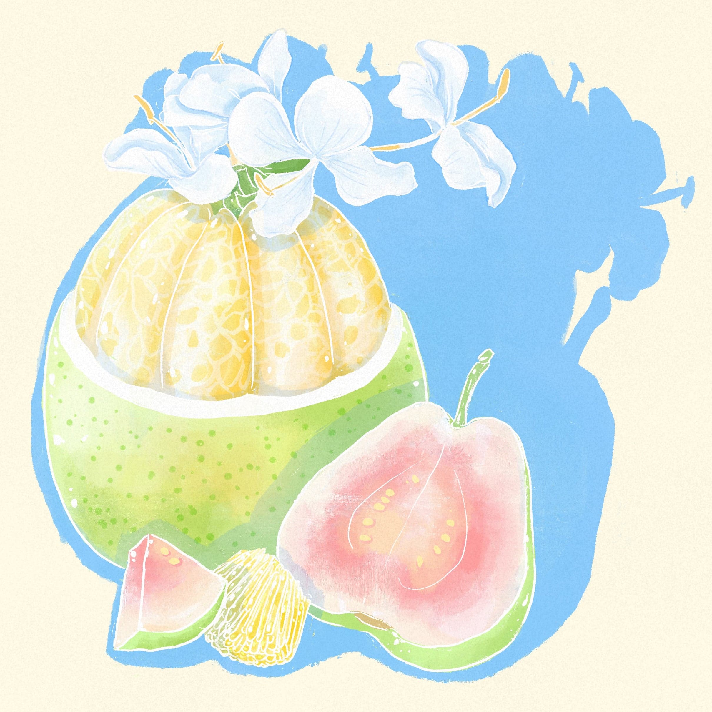 Gesha - RF1D ASD Washed - Elida Estate, Centro Loma Lot