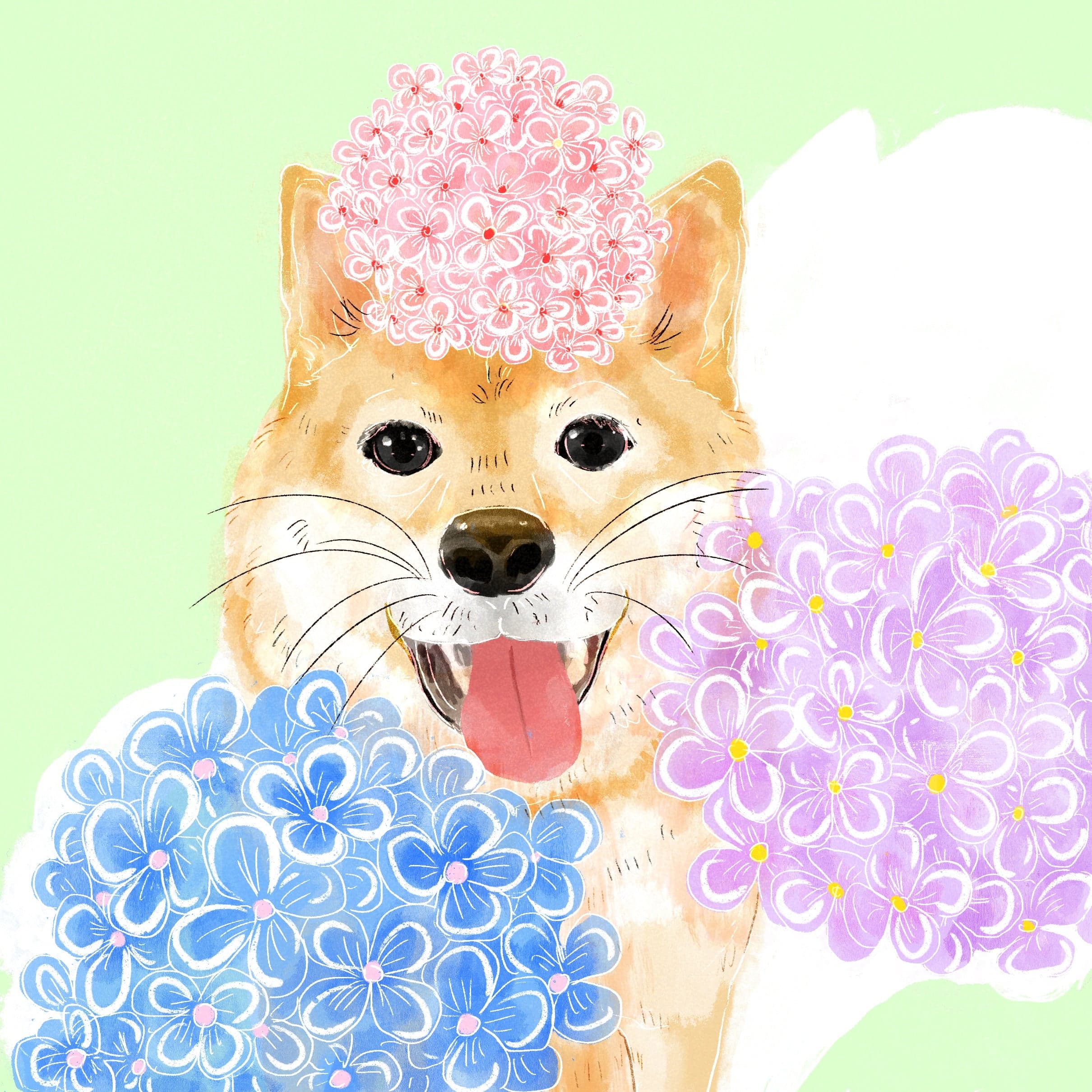 Gesha - Washed - Elida Estate, Falda 1800 PA1504