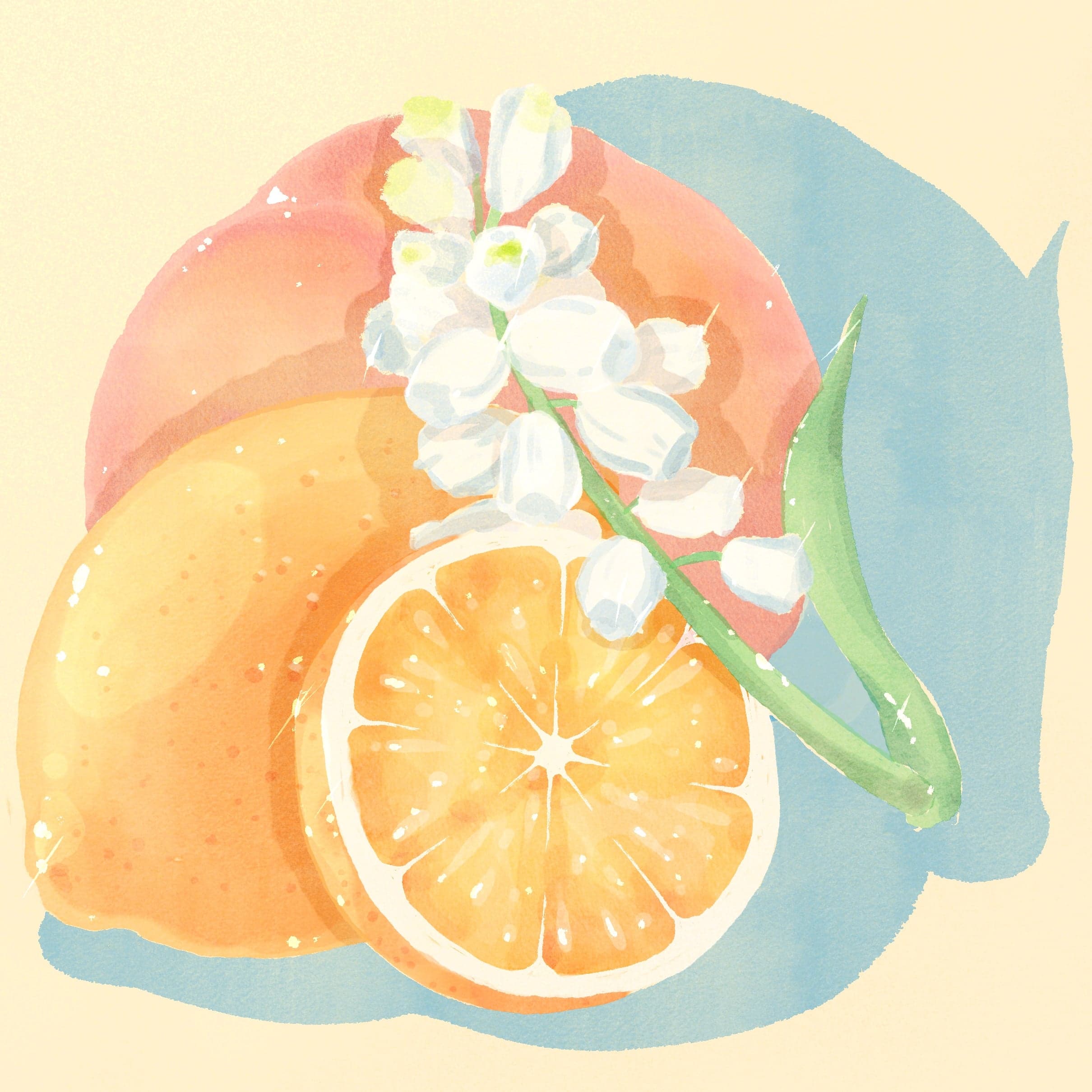 Gesha - Washed - Finca El Socorro