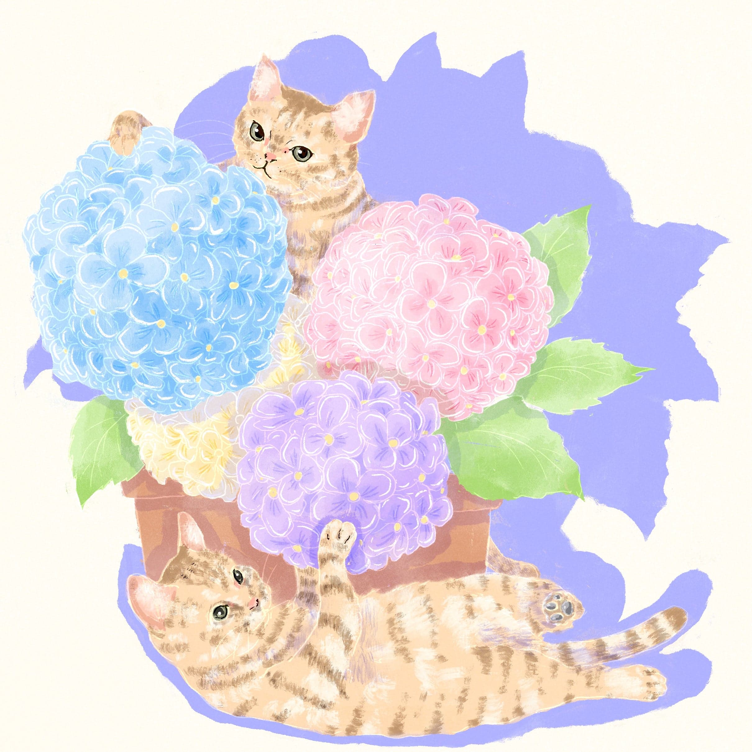 Gesha - Washed - Finca Nuguo, Best of Panama GW03 (L1.5 Roast)