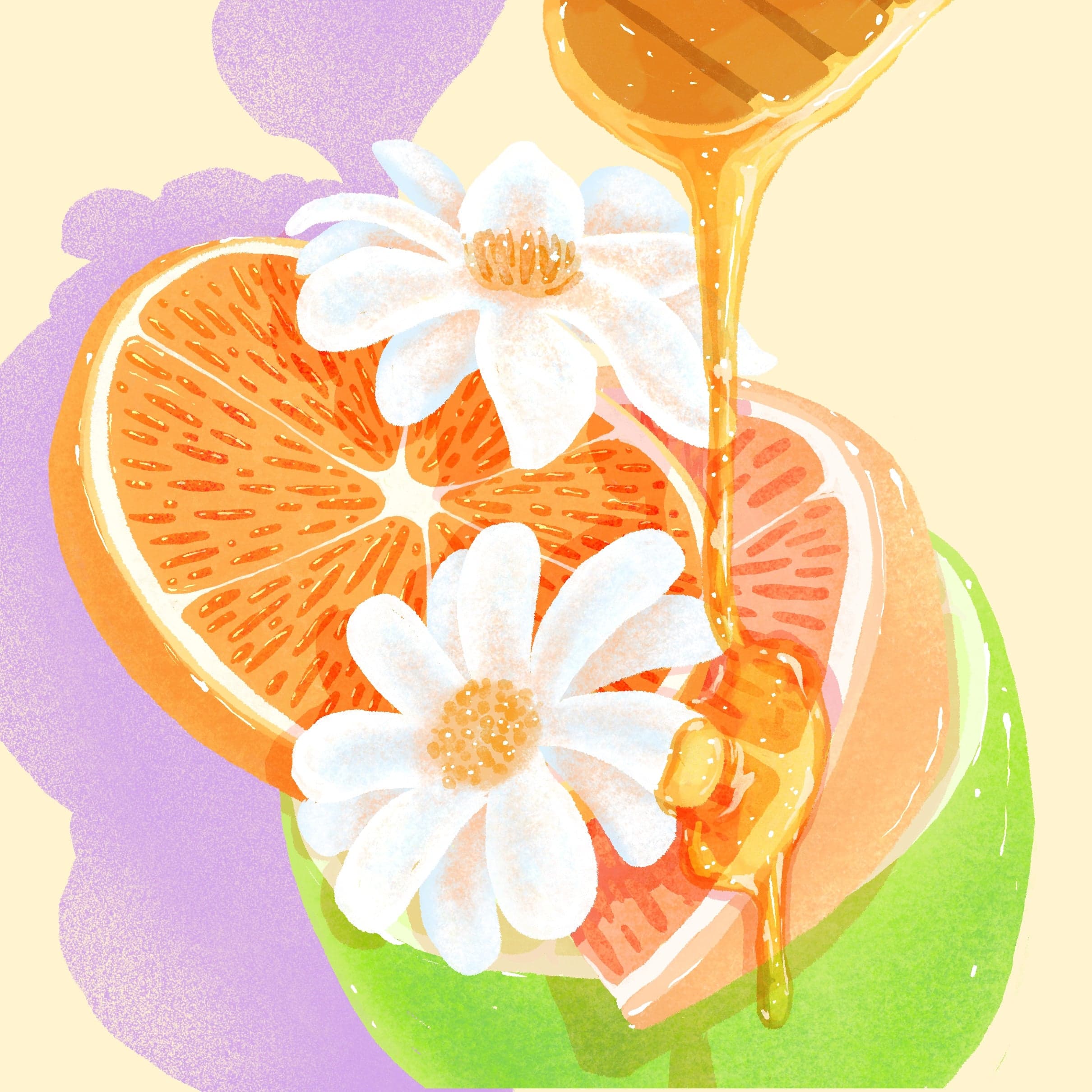 Gesha - Washed - Hacienda La Esmeralda, Lot León 5FB