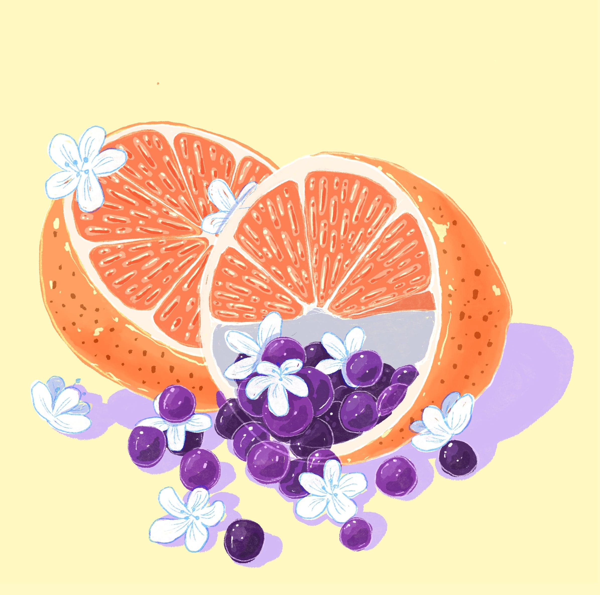 Gesha - Washed - Lot Plano, Finca Lerida