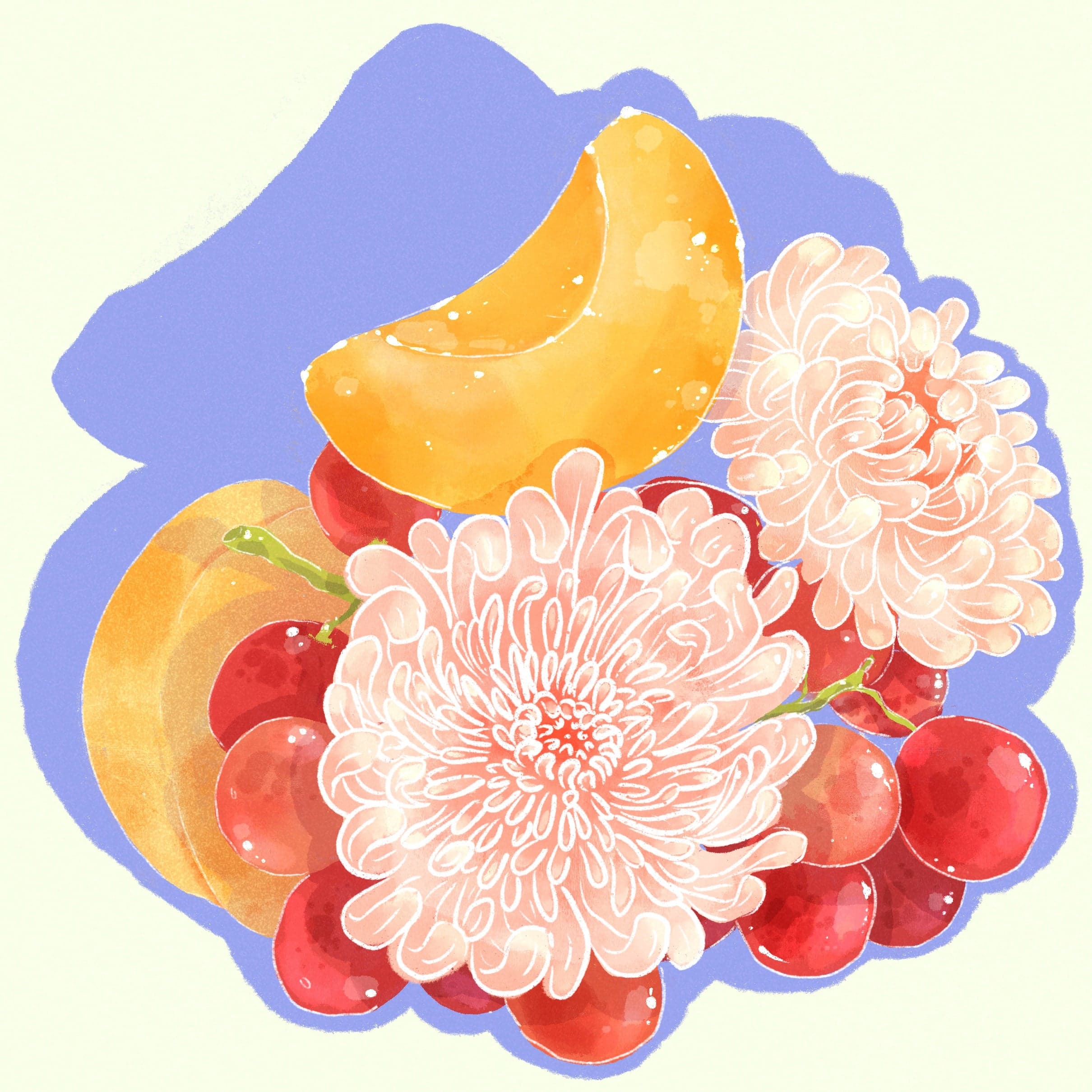 Gesha - Washed DRD - El Burro Lot 16 (Ultralight)