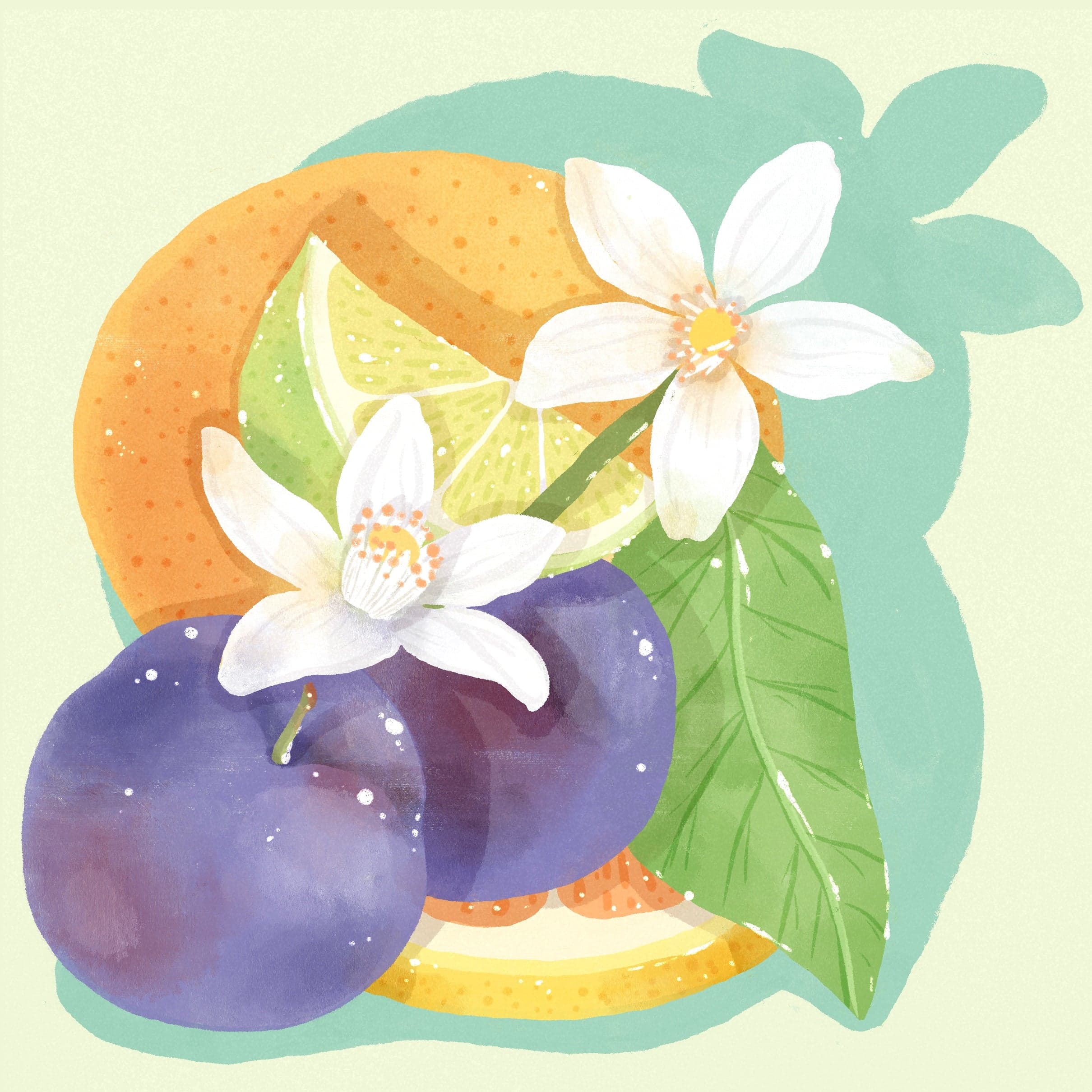 Gesha - "Flower Touch" - TNT Lab, Finca Auromar