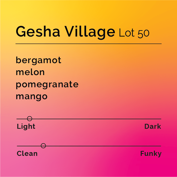 Gesha Village Lot 50